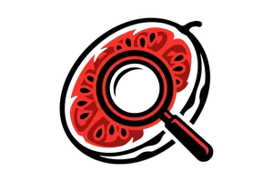 吃瓜视频 - 吃瓜社